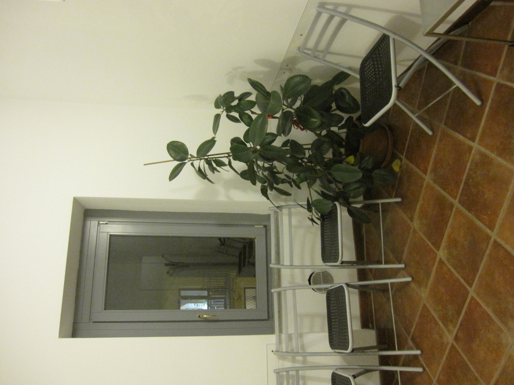 Sala d'aspetto con ficus