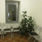 Sala d'aspetto con ficus