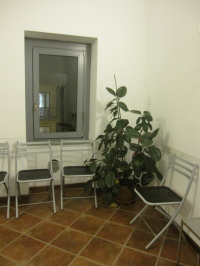 Sala d'aspetto con ficus